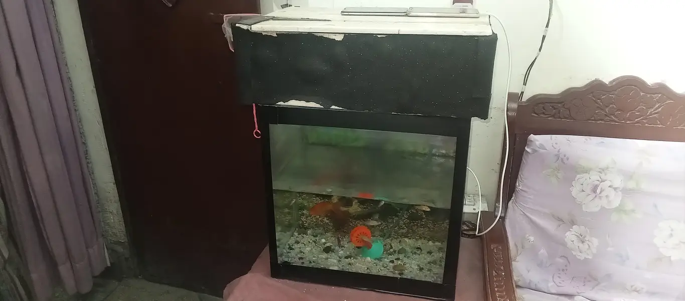 aquarium for sale only serious buyer contact