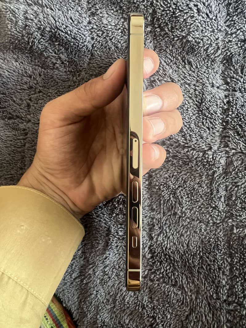 Apple iPhone 13 Pro Max 0