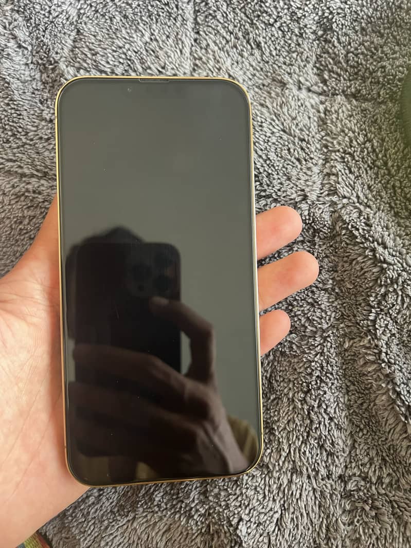 Apple iPhone 13 Pro Max 1