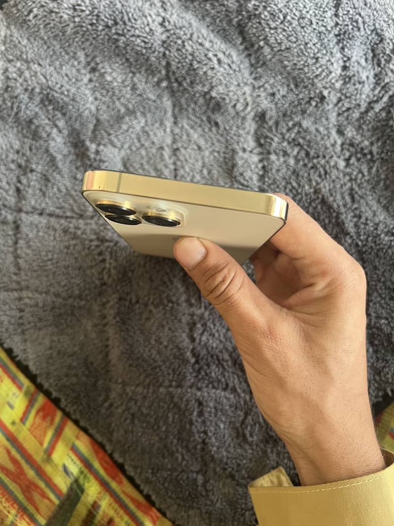 Apple iPhone 13 Pro Max 2