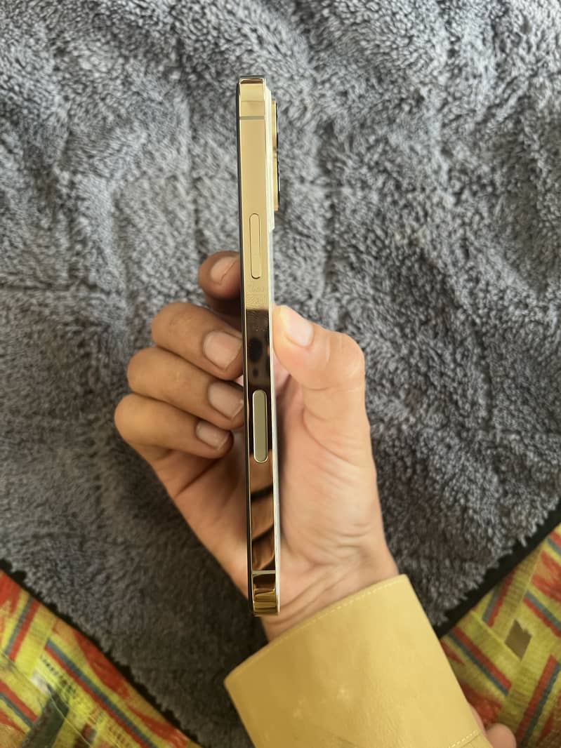 Apple iPhone 13 Pro Max 4