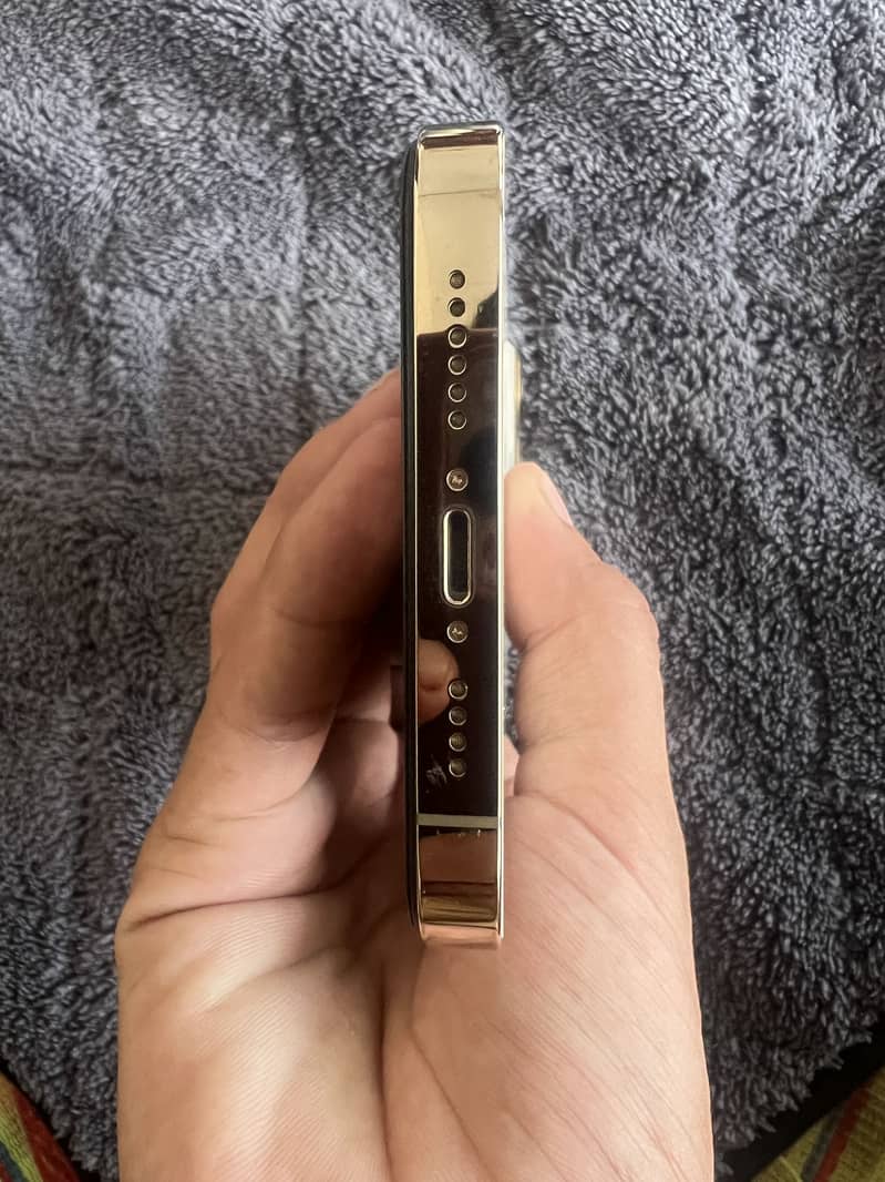 Apple iPhone 13 Pro Max 5