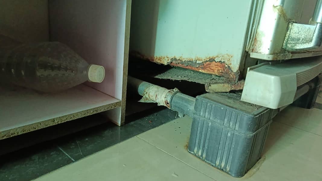fridge 2