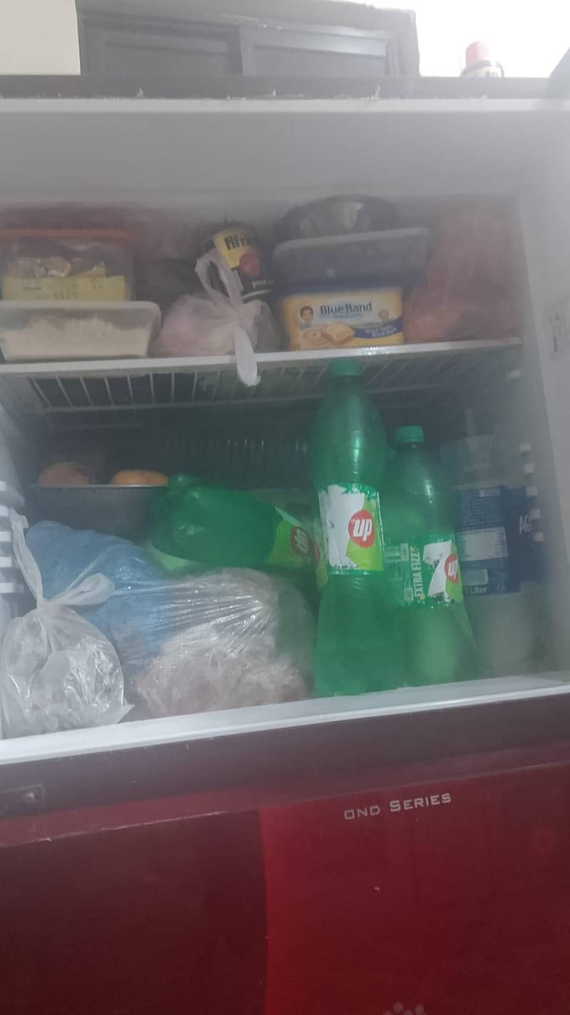 refrigerator Orient 4