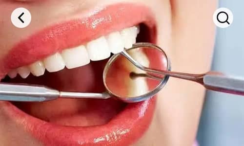 dental surgeon