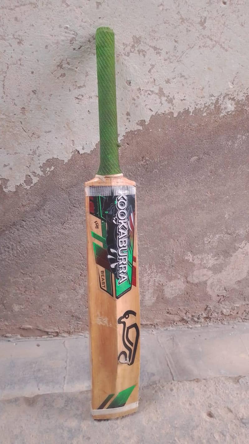 Hard ball bat 1