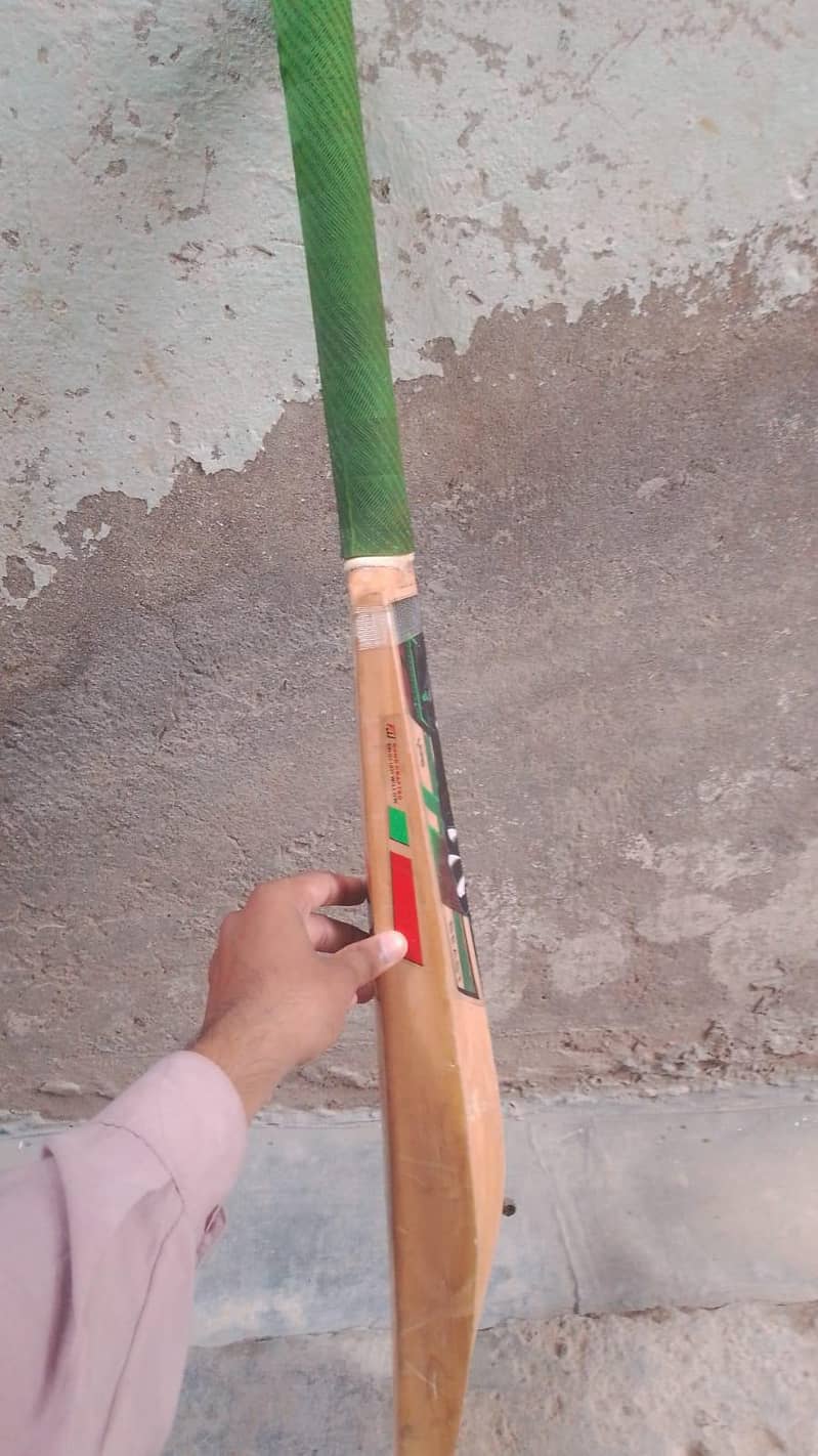 Hard ball bat 2