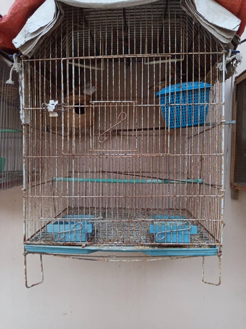 finch 0