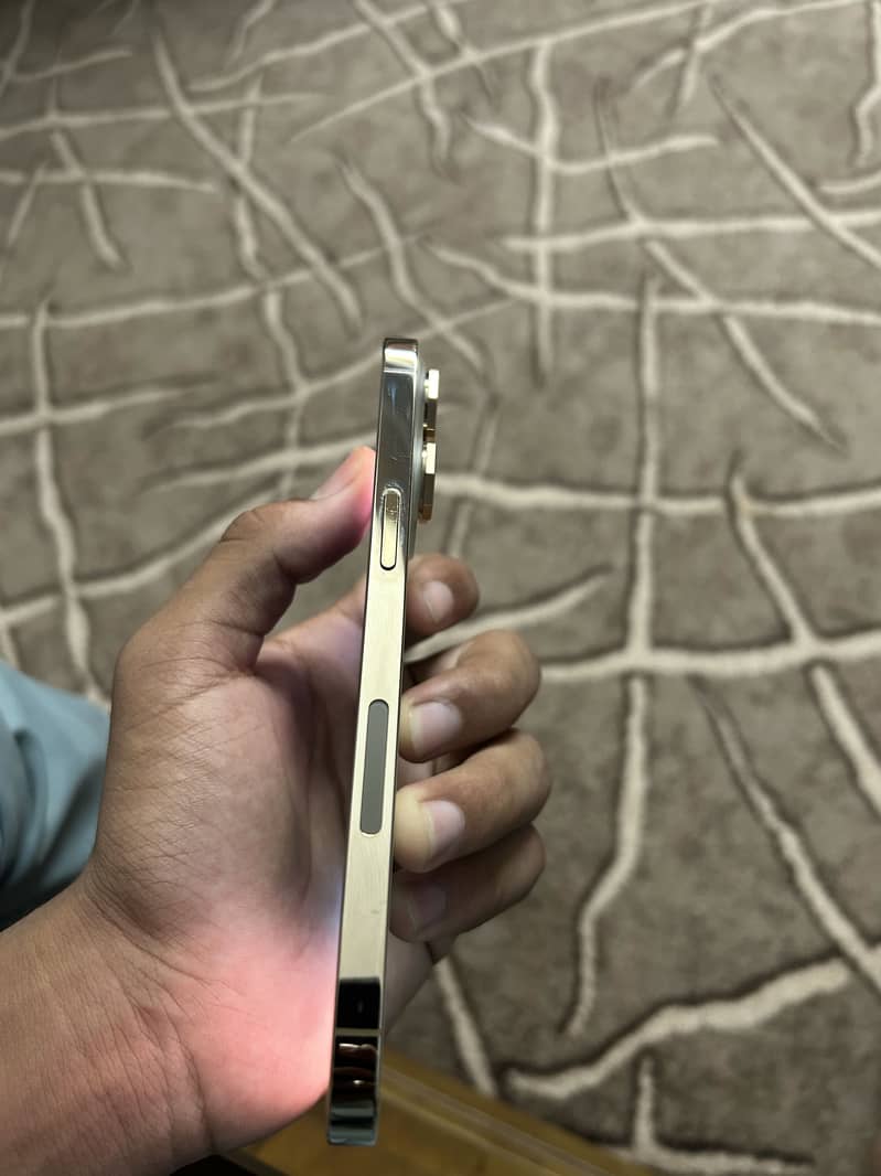 Apple iPhone 14 Pro Max 2
