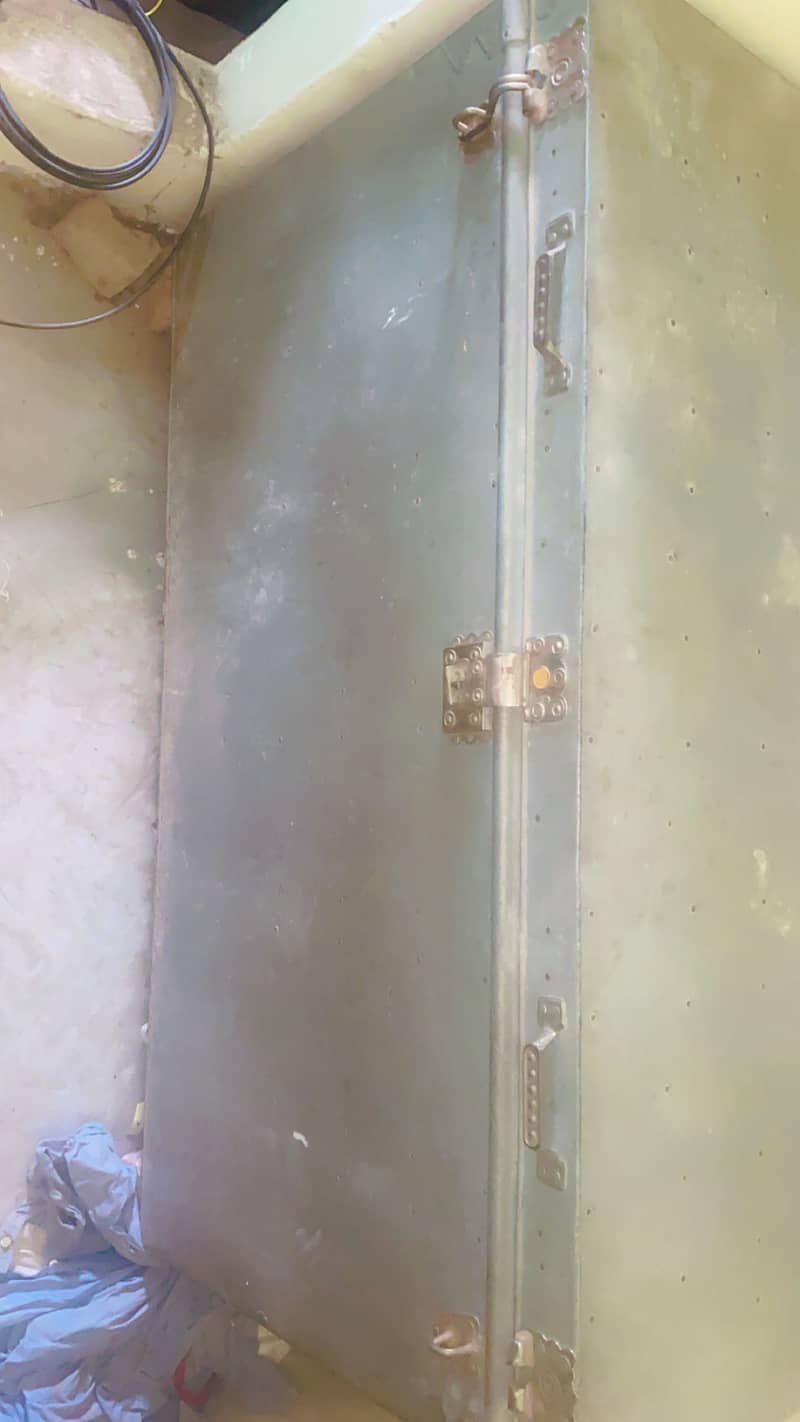 pati trunk 5