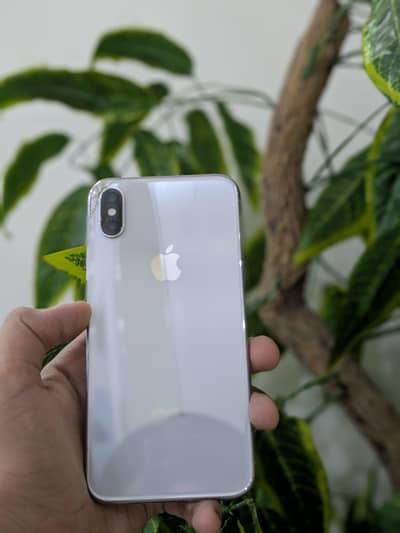 Apple iPhone X