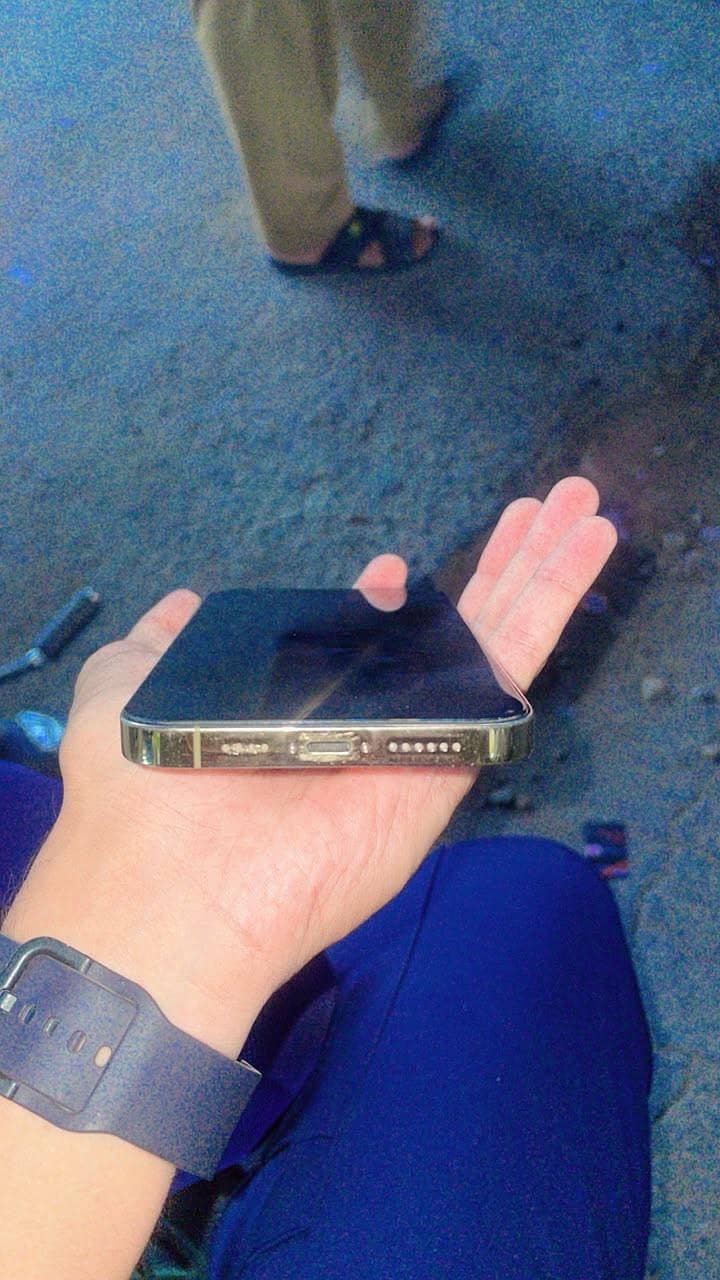 Apple iPhone 14 Pro Max 3
