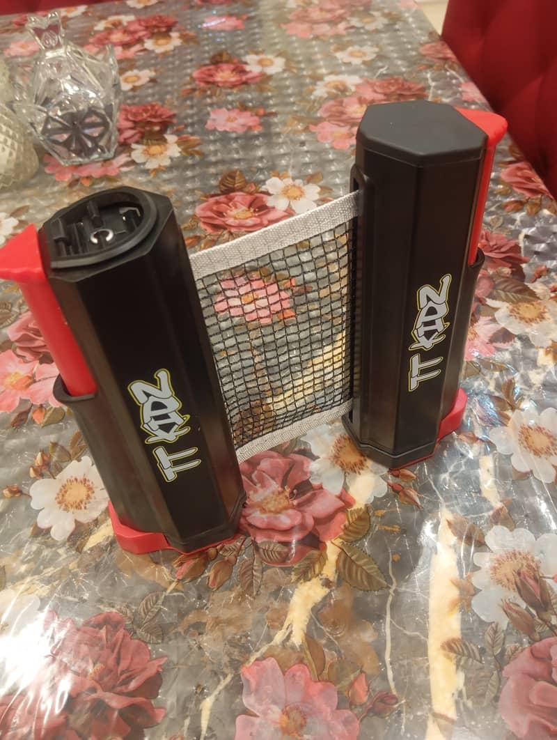 Table tennis's net 2