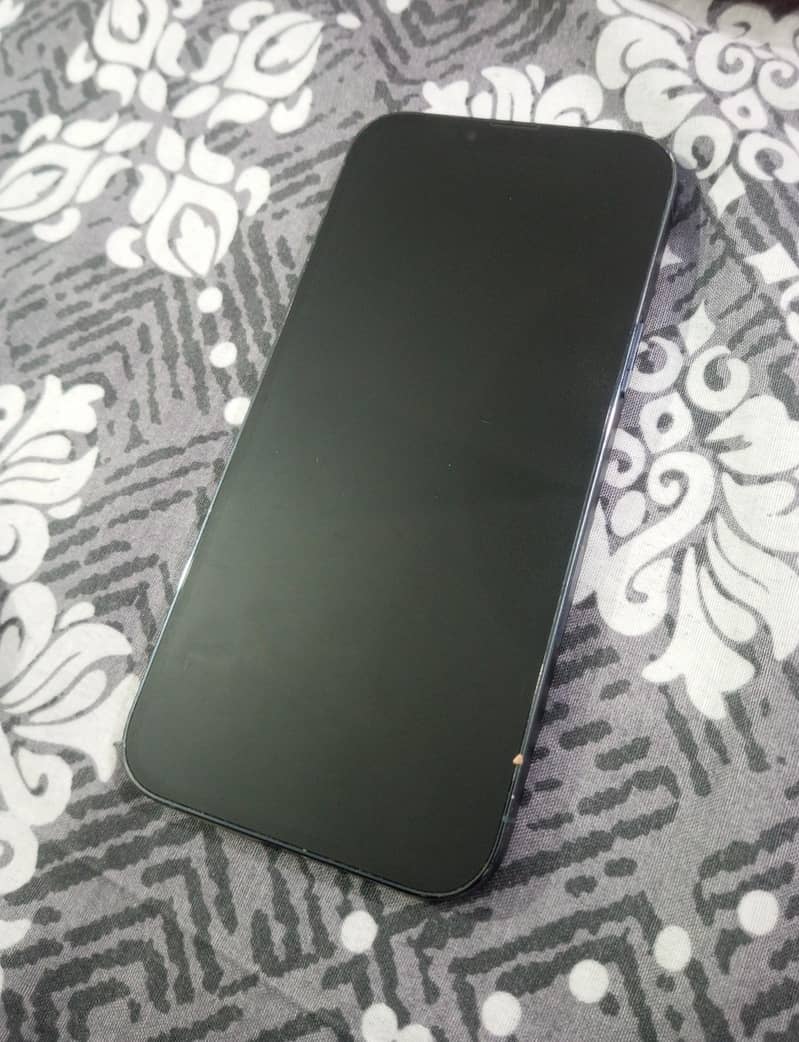Apple iPhone 13 Pro Max 1