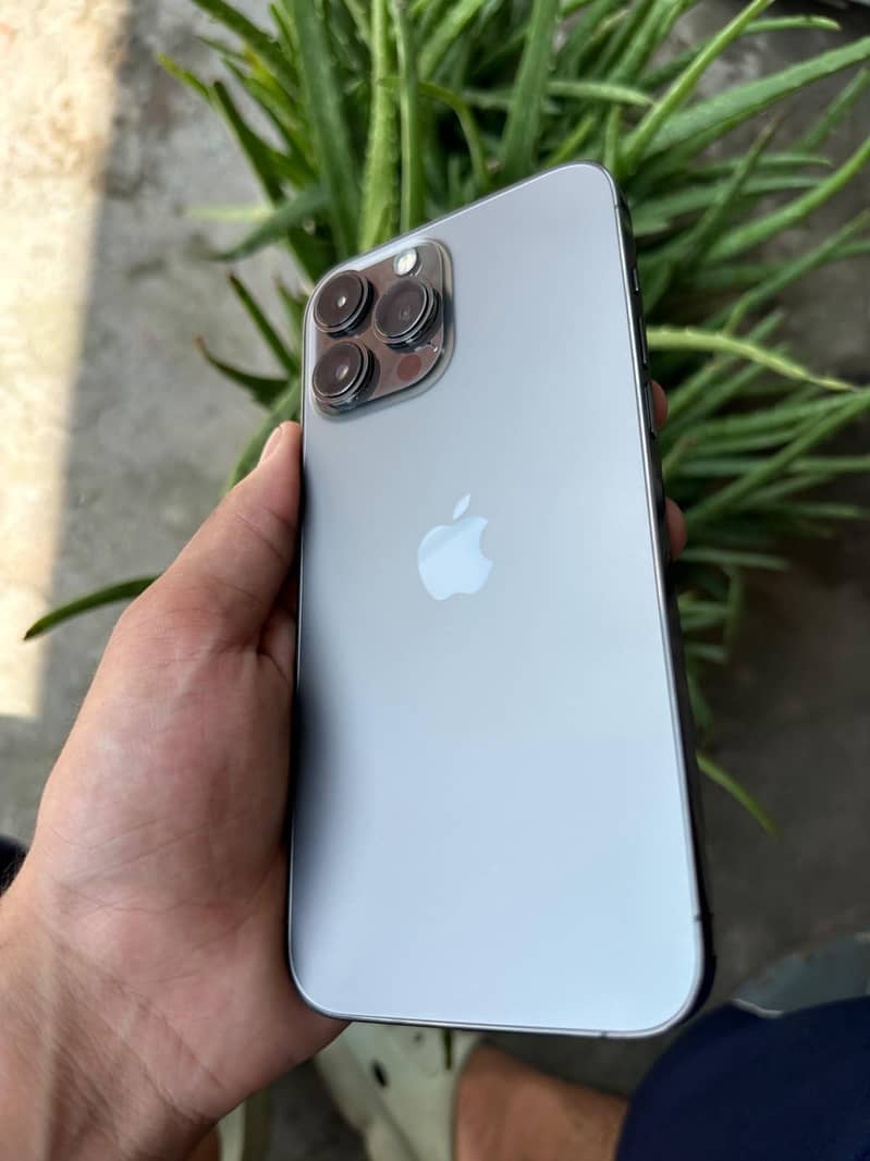 Apple iPhone 13 Pro Max 0