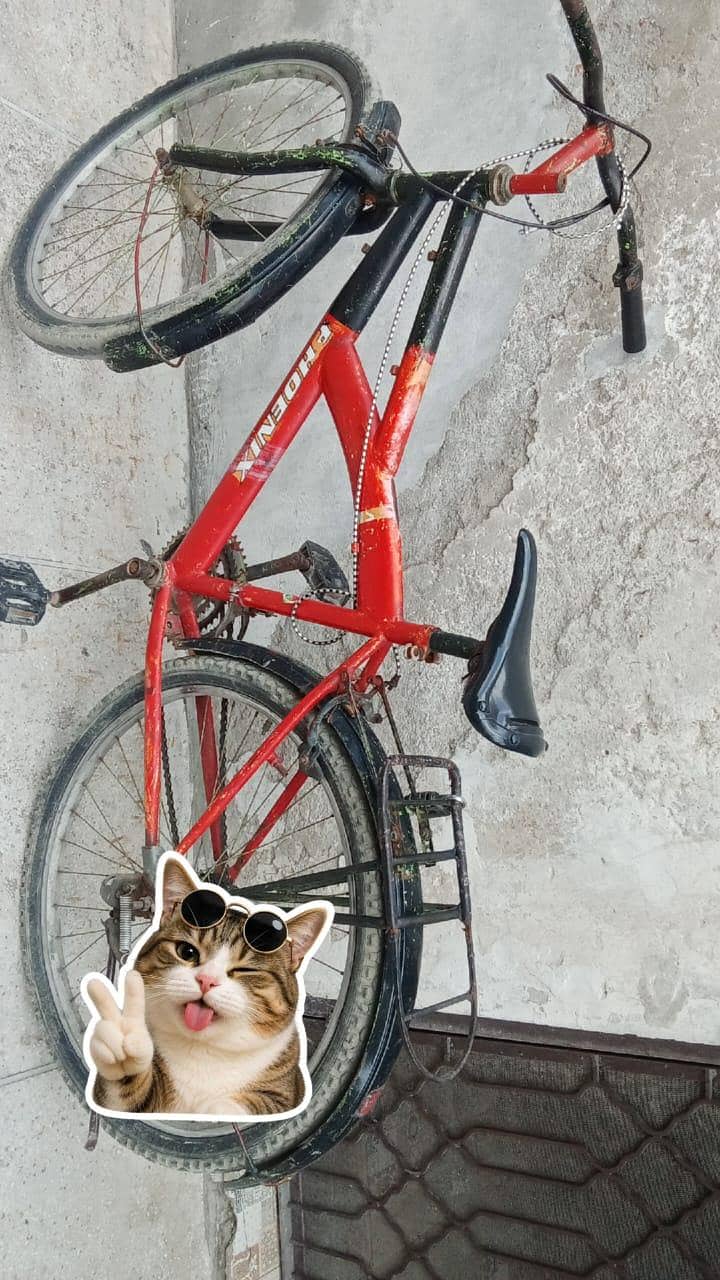 BYCYCLE 3