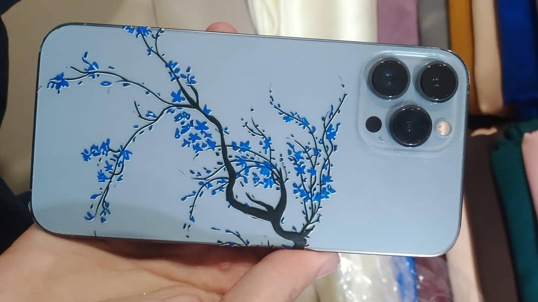 Apple iPhone 13 Pro Max 0