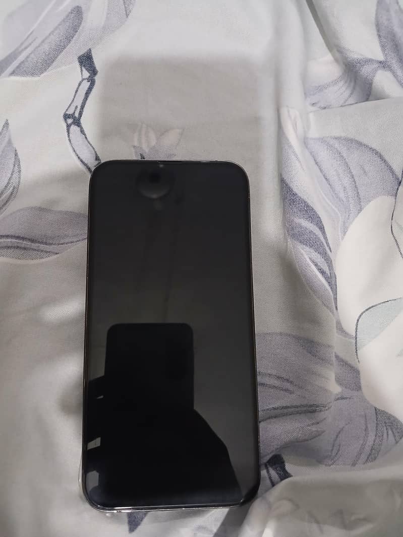 Apple iPhone 13 Pro Max 1
