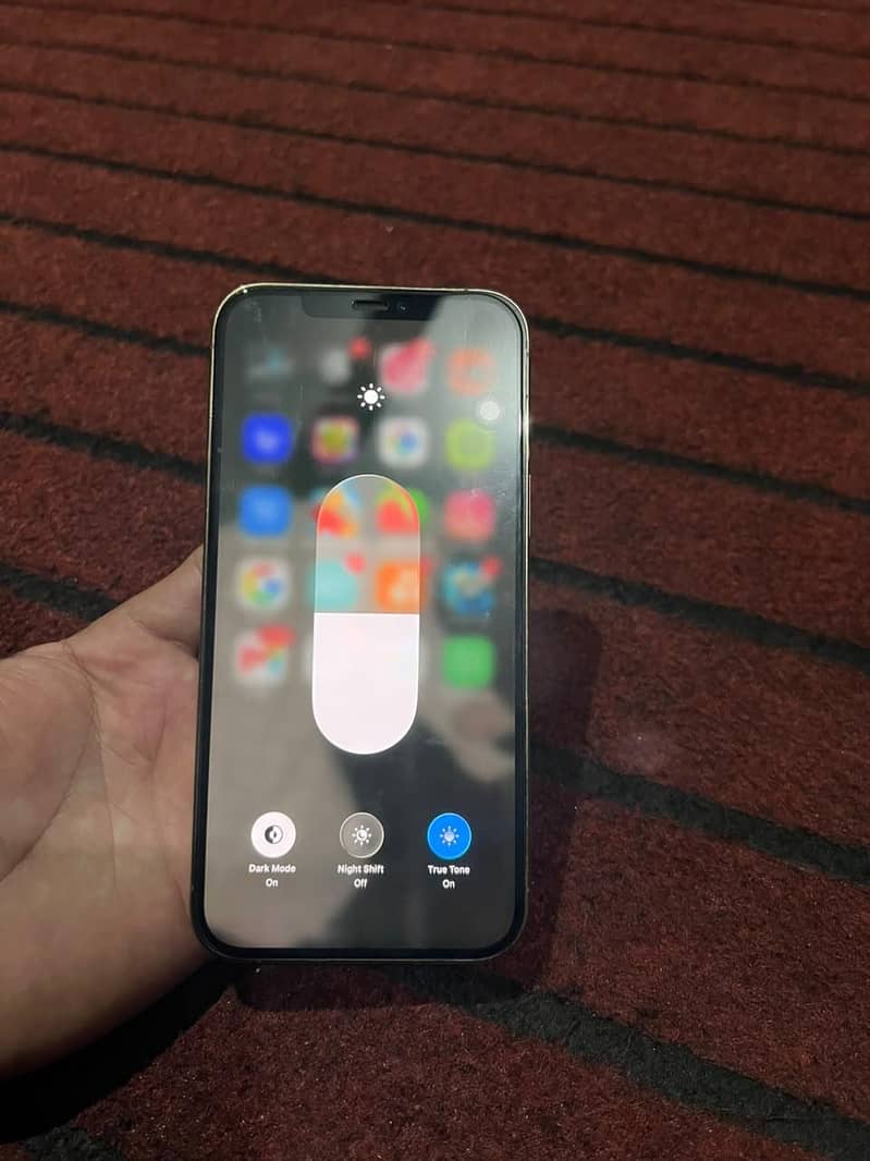 Apple iPhone 12 Pro Max 1