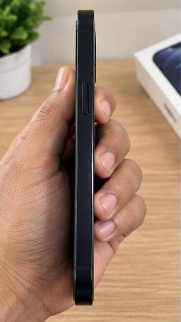 Apple iPhone 12 1