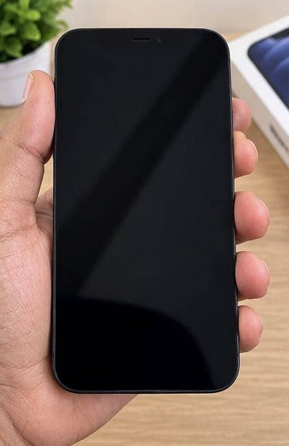 Apple iPhone 12 2