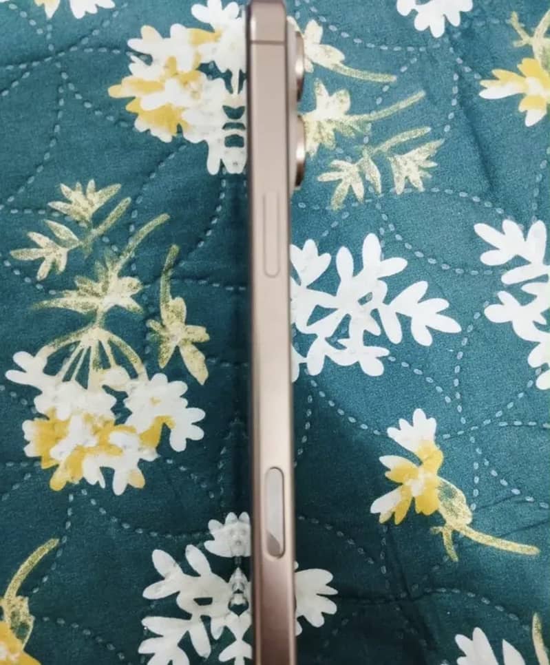 Apple iPhone 16 Pro Max 1