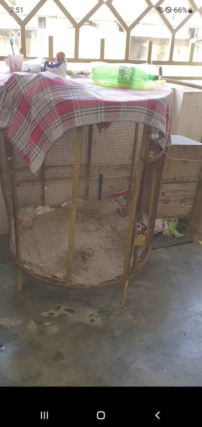 raw parrot cage