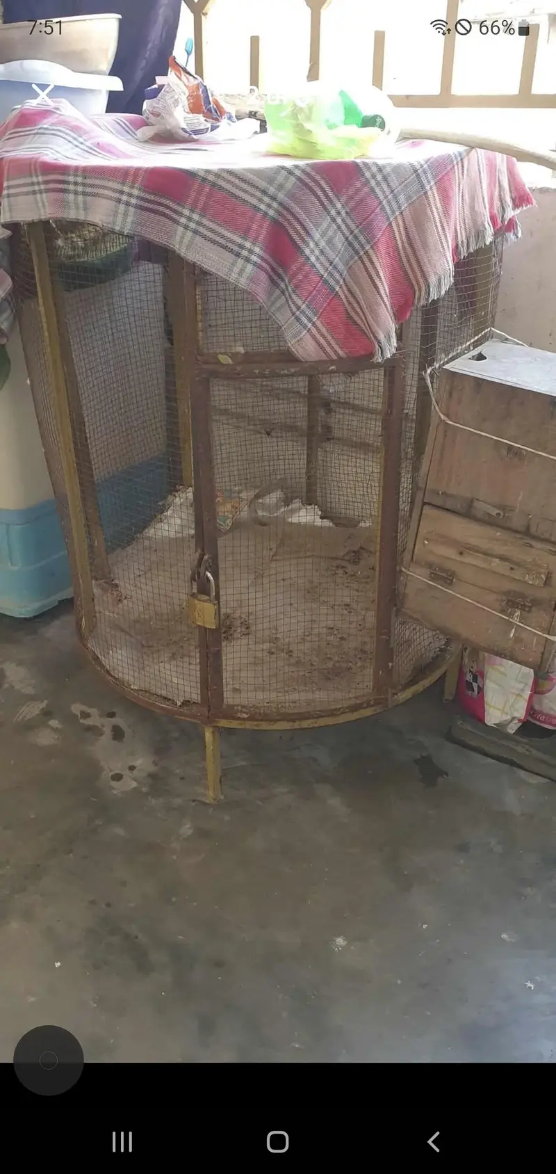 raw parrot cage — photo 2
