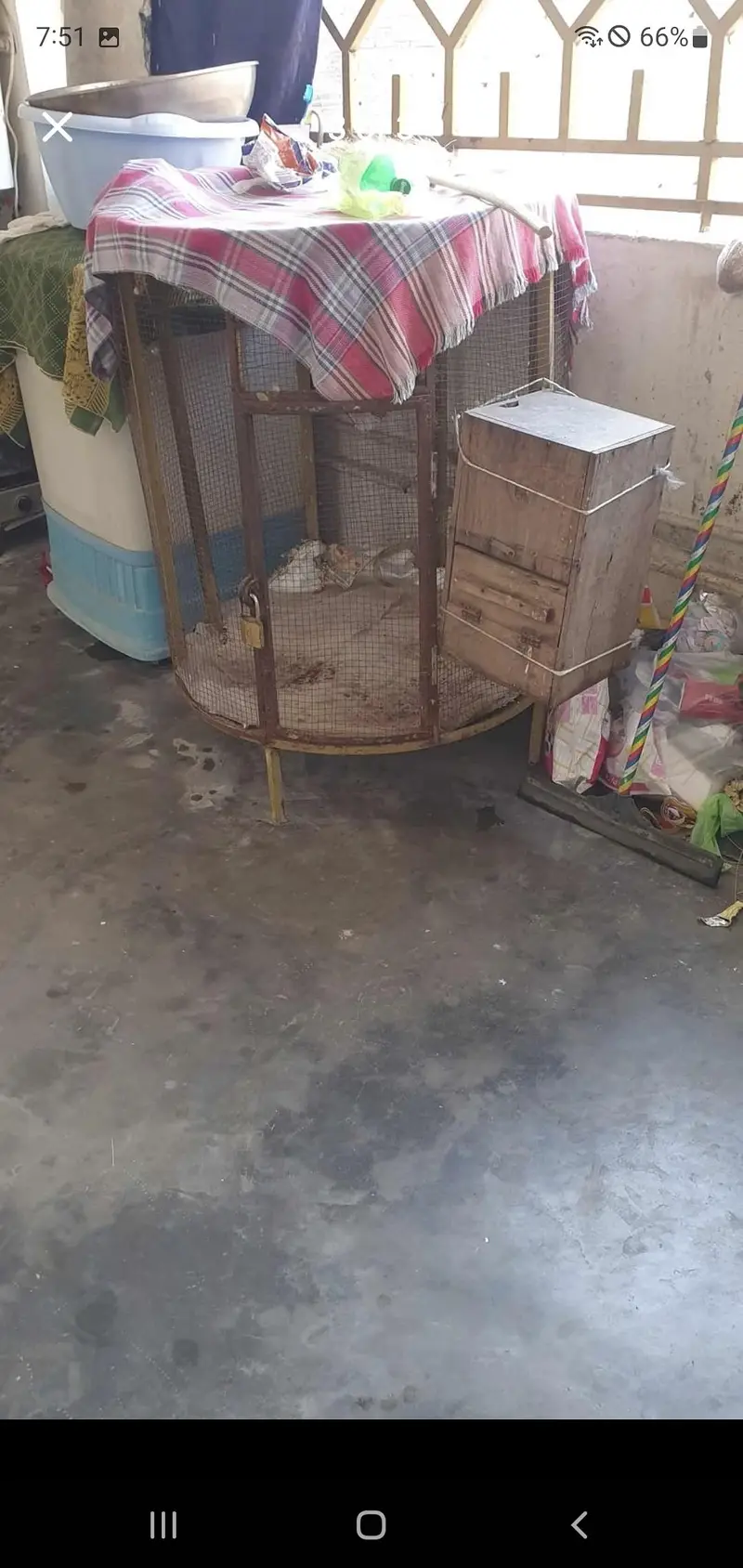 raw parrot cage — photo 3
