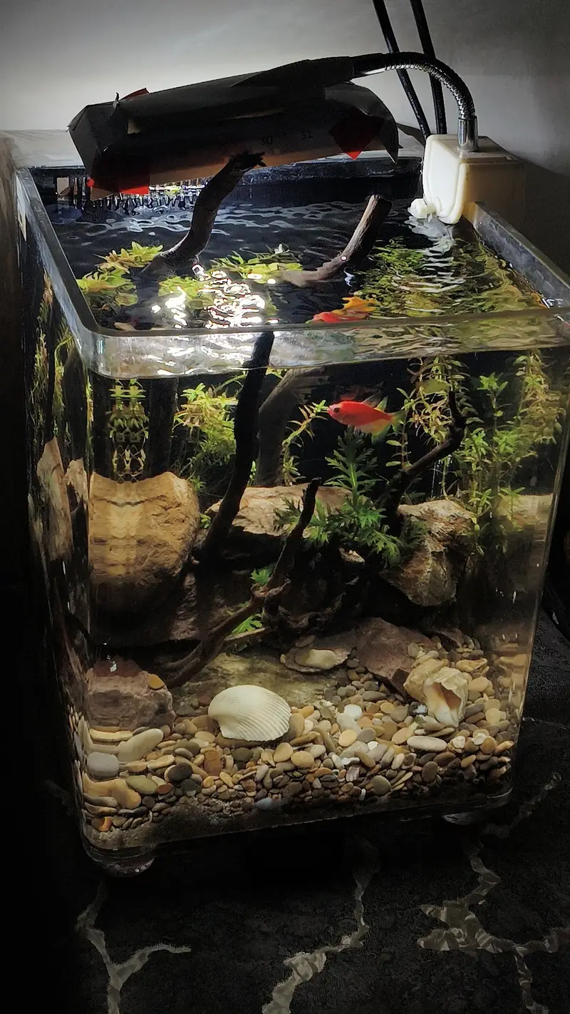 fish aquarium — photo 2