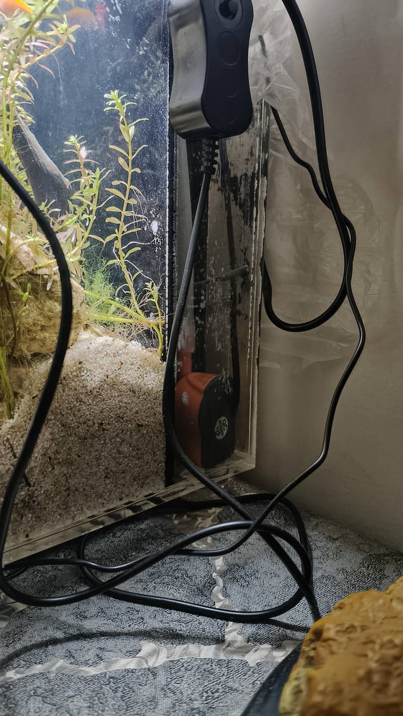 fish aquarium 3