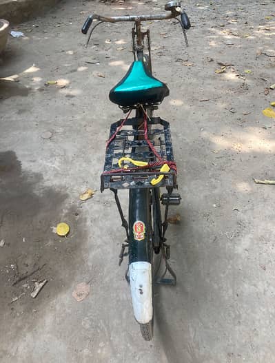 Cycle