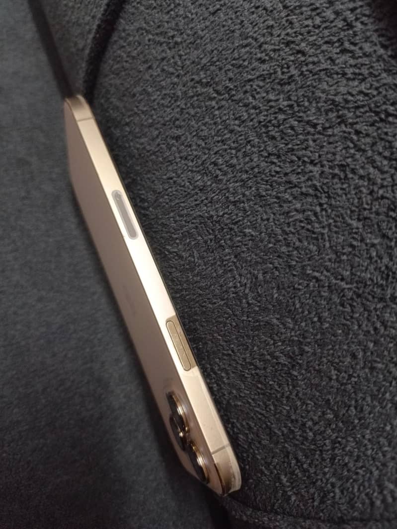 Apple iPhone 13 Pro Max 2