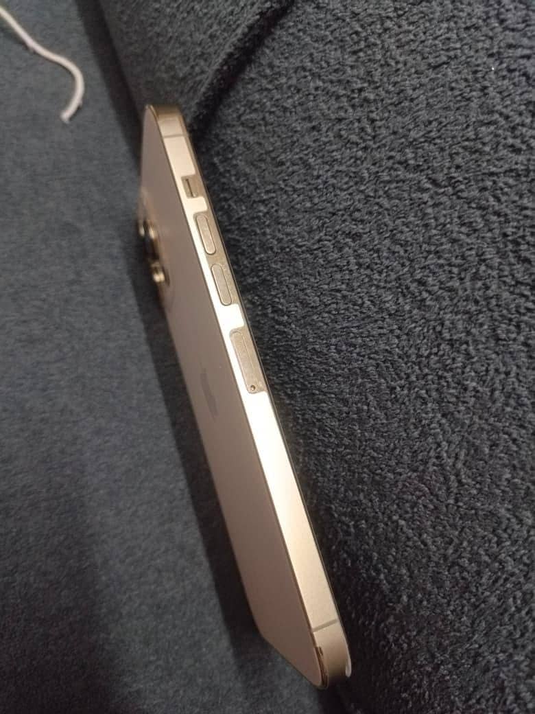 Apple iPhone 13 Pro Max 7
