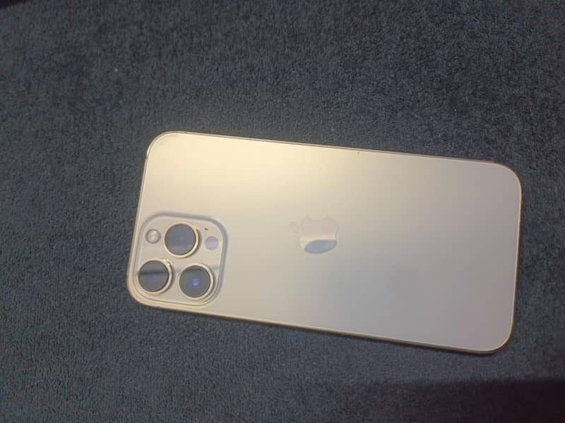 Apple iPhone 13 Pro Max 9
