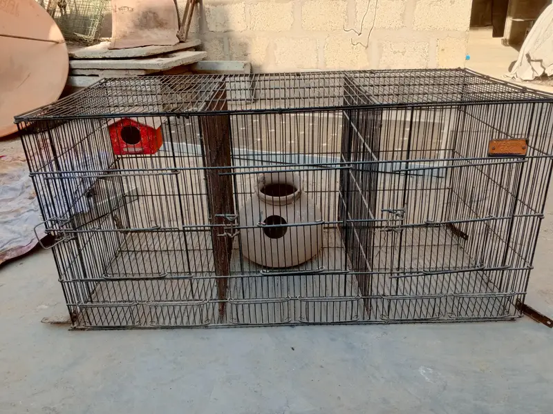 This cage needs to be sold.