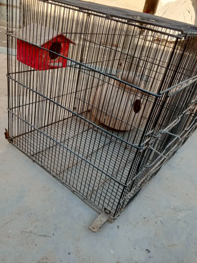This cage needs to be sold. — photo 2