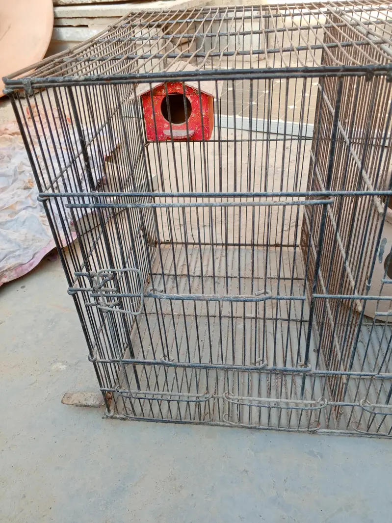 This cage needs to be sold. — photo 3