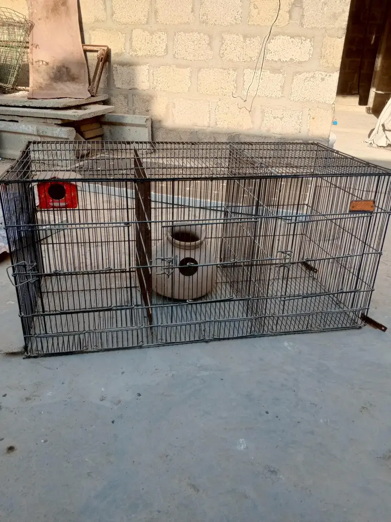 This cage needs to be sold. — photo 4