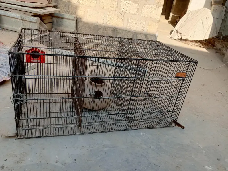 This cage needs to be sold. — photo 5