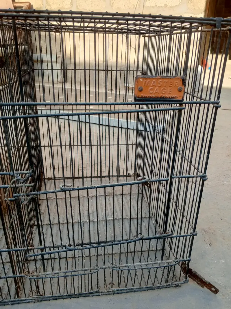This cage needs to be sold. — photo 6