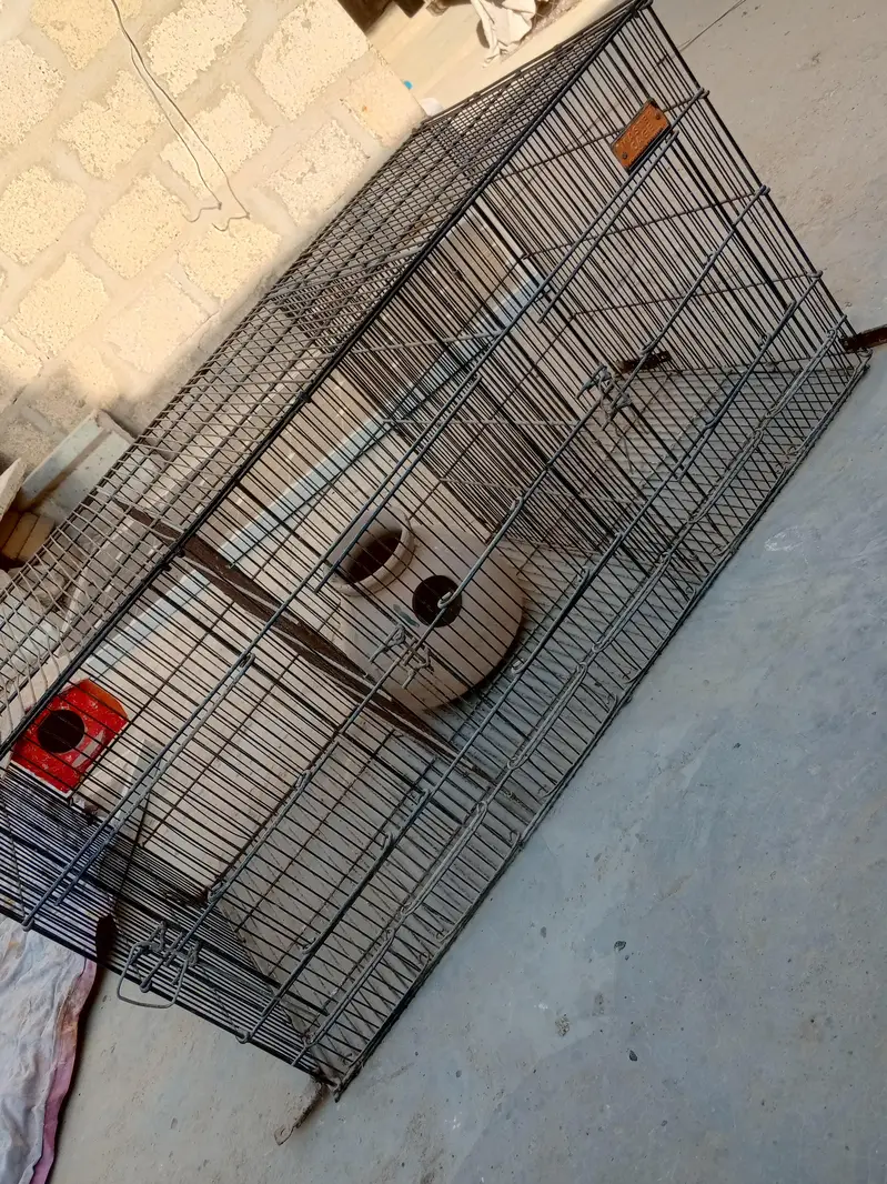 This cage needs to be sold. — photo 7