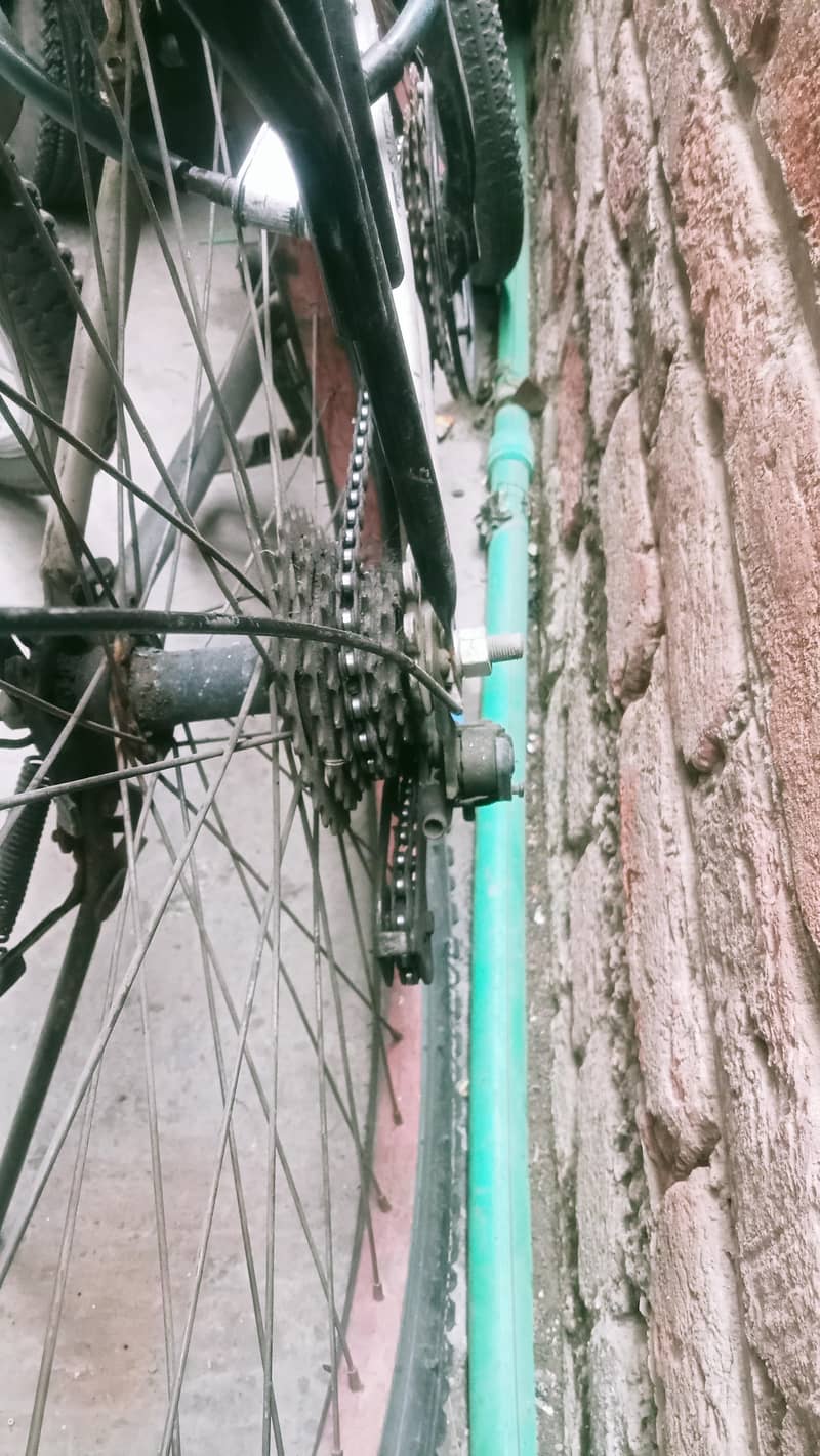 spring cycle 1
