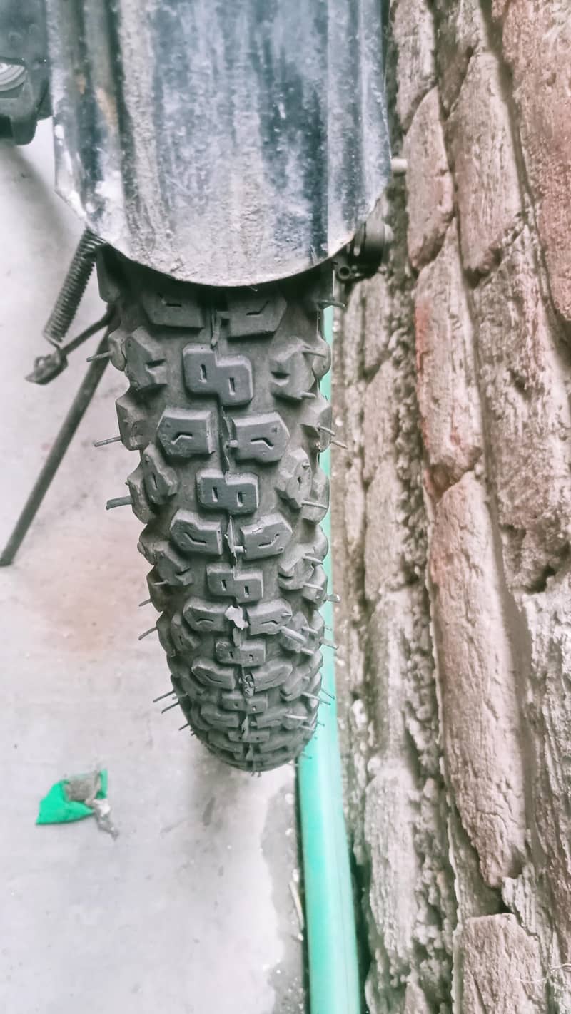 spring cycle 2