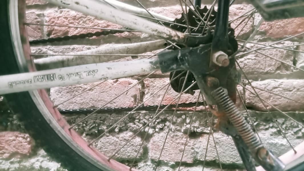 spring cycle 3