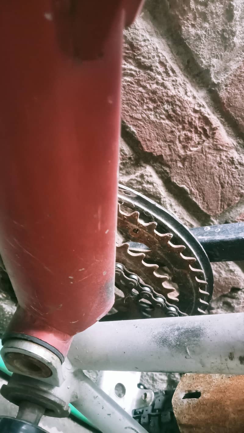 spring cycle 6