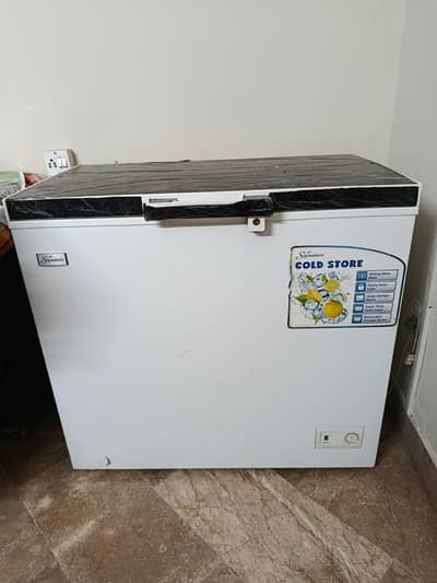 Signature Deep Freezer
