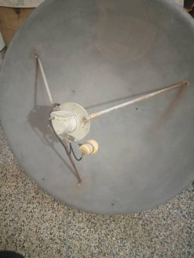 Dish 120/cm