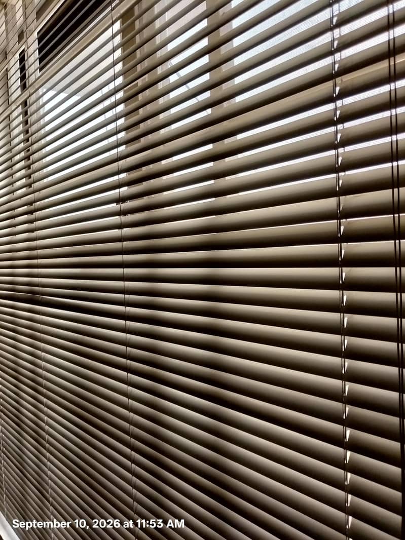 Windows blinds 6
