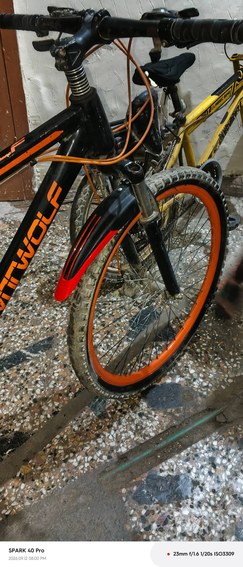 MT Wolf brand 2